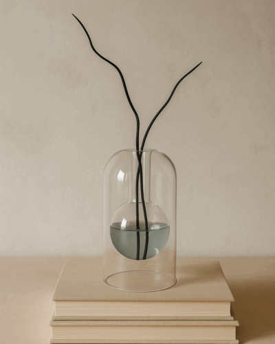 Japandi diffuser van borosilicaatglas met zwarte decoratieve takken en blauwgrijze vloeistof, geplaatst op twee beige boeken